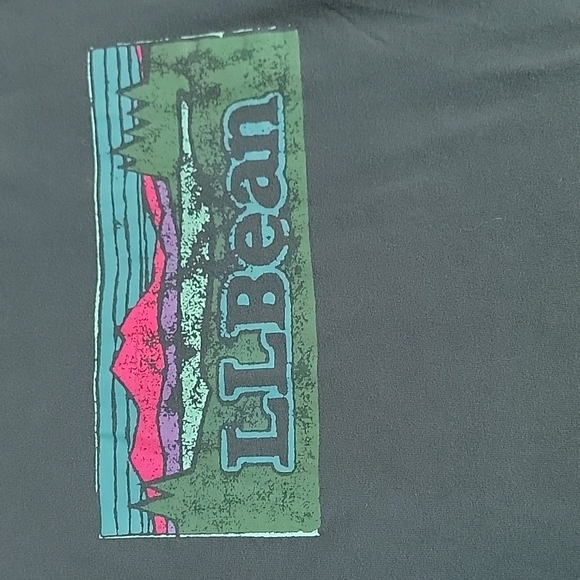 L.L. Bean Boys Green w/ Mountain Scene Long Sleeve T-Shirt,  M Reg - Picture 4 of 9